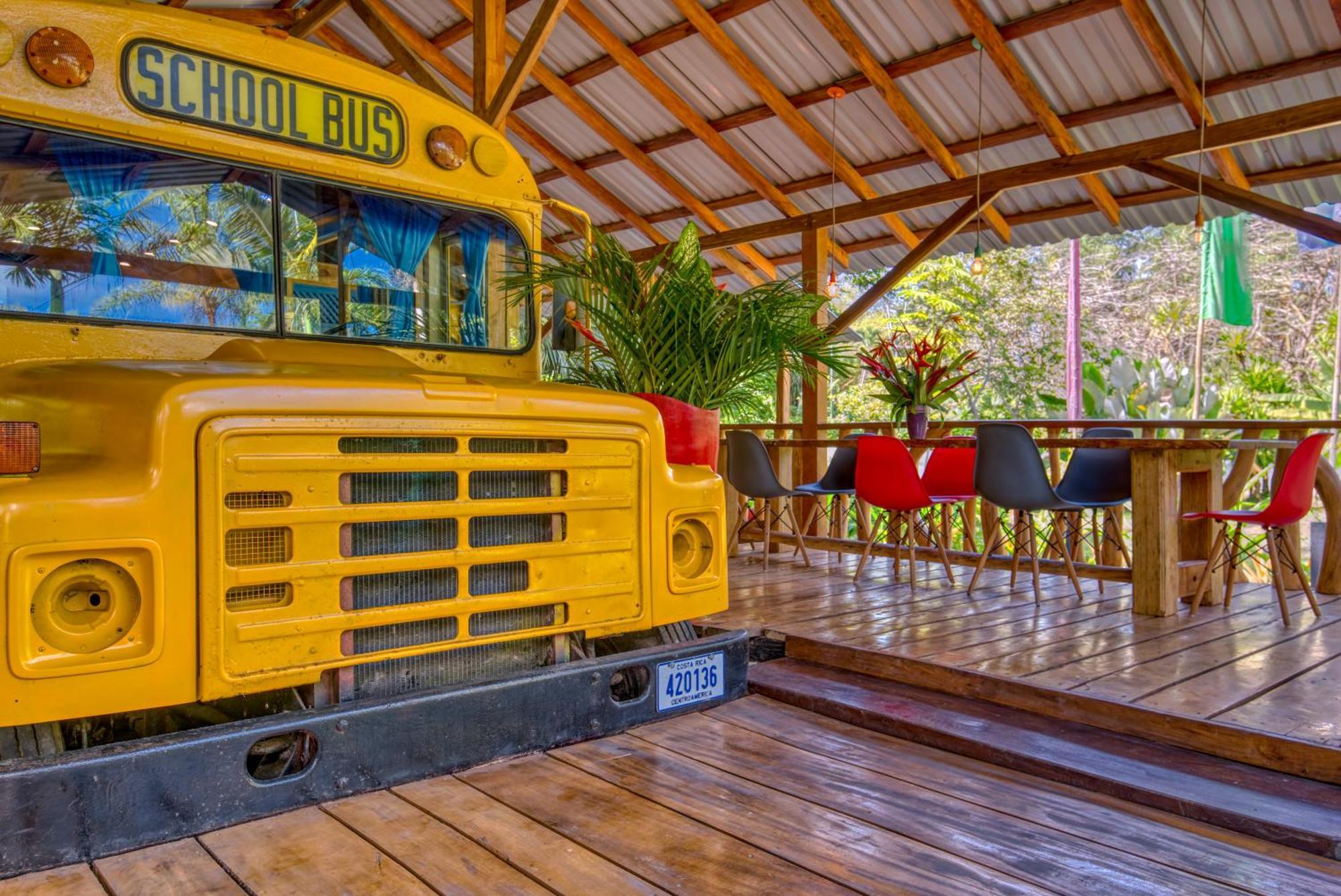 Tree House Beachfront Lodge Puerto Viejo de Talamanca Exterior foto
