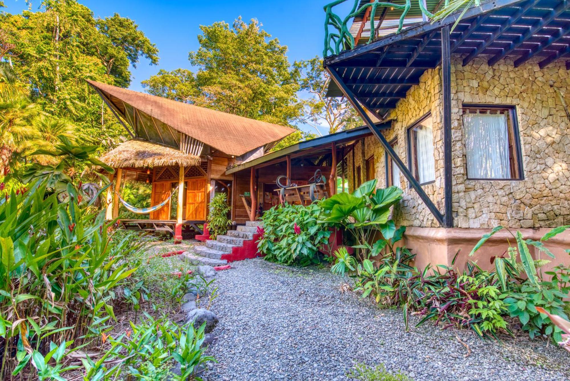 Tree House Beachfront Lodge Puerto Viejo de Talamanca Exterior foto