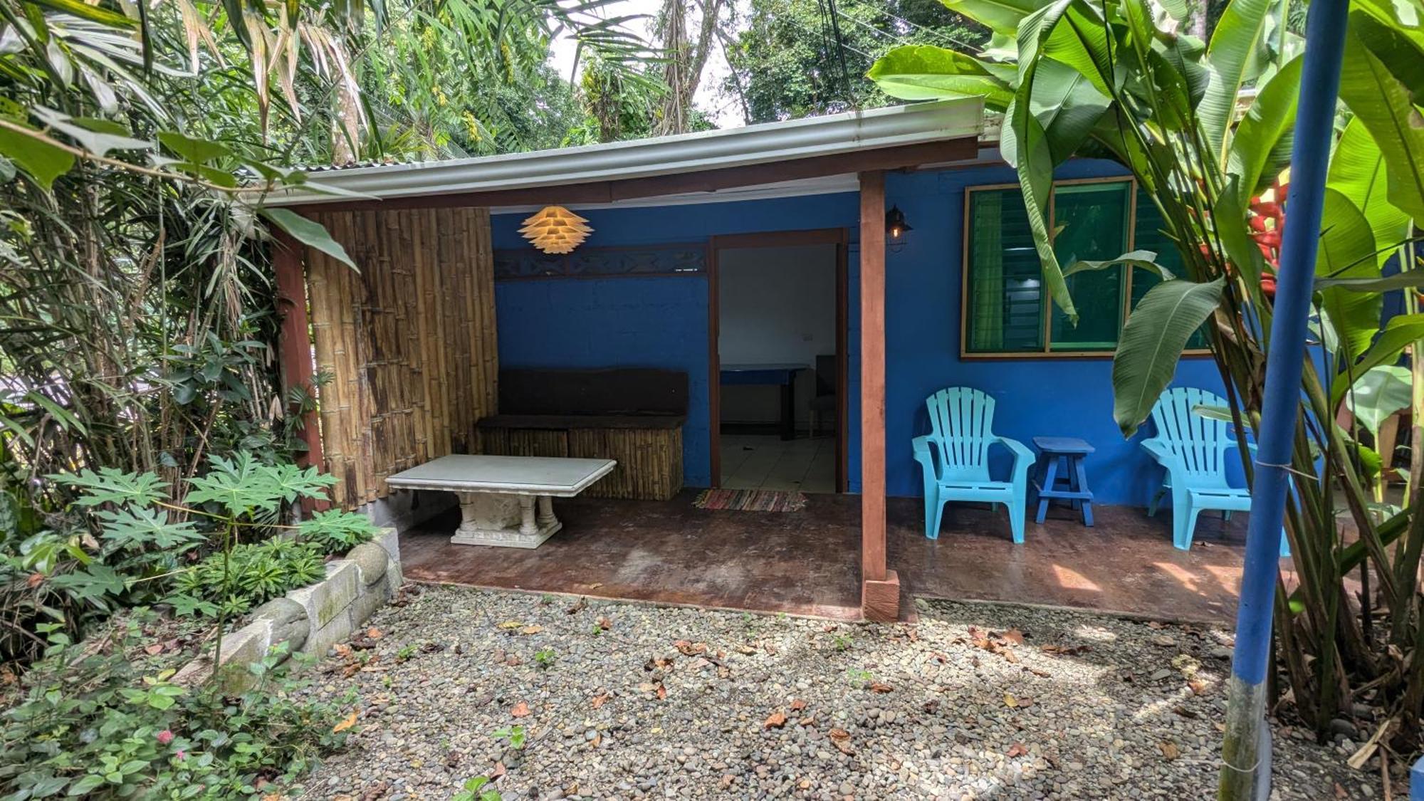 Tree House Beachfront Lodge Puerto Viejo de Talamanca Exterior foto